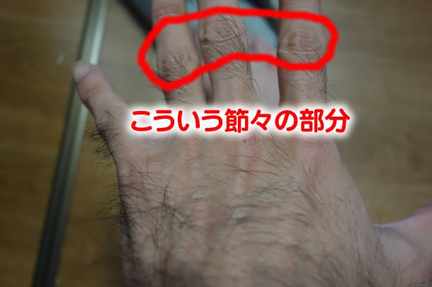 二十年ほいっぷを節々に