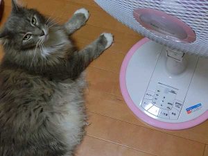 ユアサの扇風機「YT-3355PFR」を買ってみた