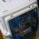 メインクーンが余裕で入る、アイリスオーヤマのペットキャリーを買ってみた