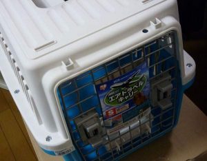 メインクーンが余裕で入る、アイリスオーヤマのペットキャリーを買ってみた