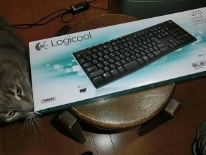 ロジクールのワイヤレスキーボード K270を買ってみた