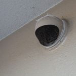 トイレが虫だらけ！ 100円ショップのキッチングッズで夏の害虫・防虫対策は鉄壁に