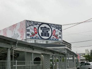 弥富金魚で有名な老舗の金魚屋さん「まるとみ金魚」に行ってみた（写真付き）