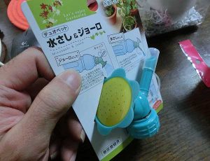 100円ショップのハナで買える、かわいい水差し