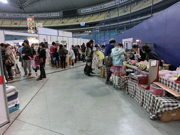 ネコゾーンは小さい