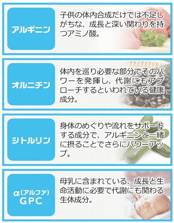 ノビルンの特徴