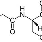 ボーンペップとはなにか？