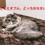 セミダブルとダブルはどちらが大きいの？　セミファイナル、セミロング、セミシングル、セミクラシックなど、かんたんな覚え方を教えます！