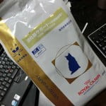 猫の便秘に絶大な威力を発揮してくれたロイヤルカナンの消化器サポート