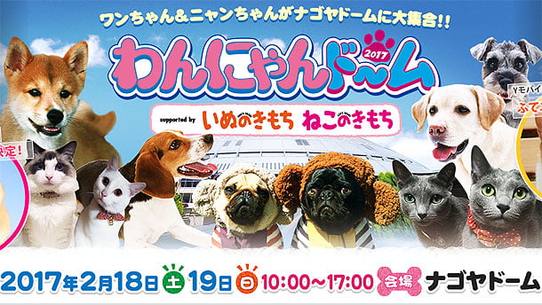 わんにゃんドーム2017