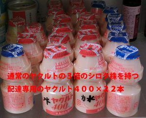 ノロウィルスにも効果があるらしいヤクルト400を続けてみた結果報告